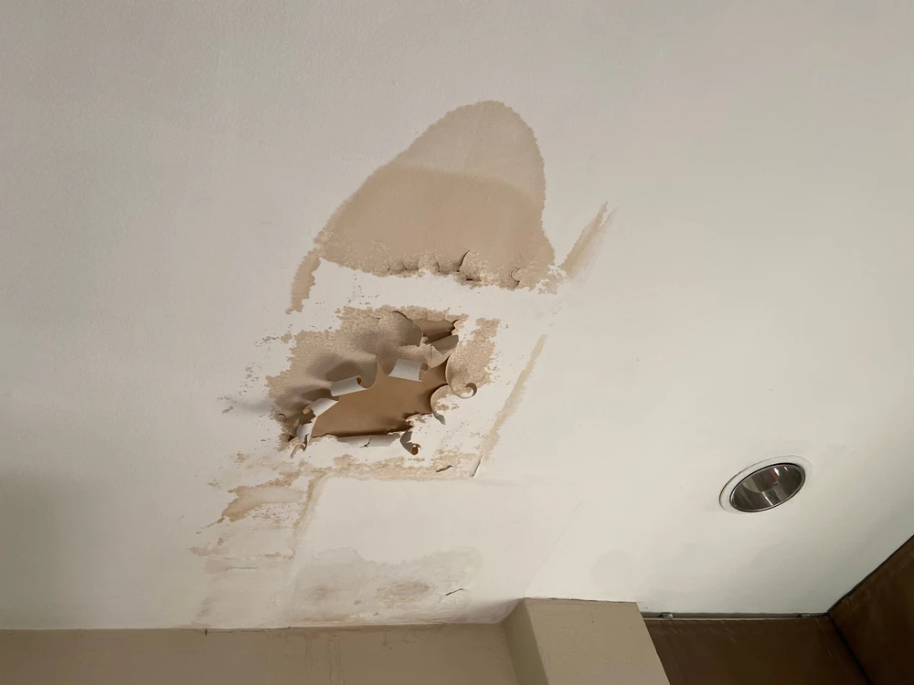 drywall repair services